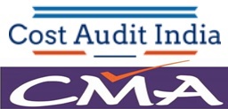 Cost Audit India